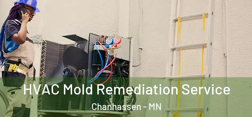 HVAC Mold Remediation Service Chanhassen - MN