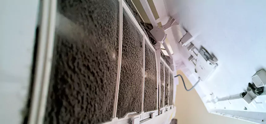 Preventive Air Duct Bacteria Removal in Chanhassen