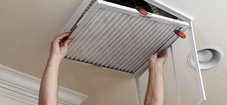 Preventive Cockroach-Proofing for Ducts in Chanhassen