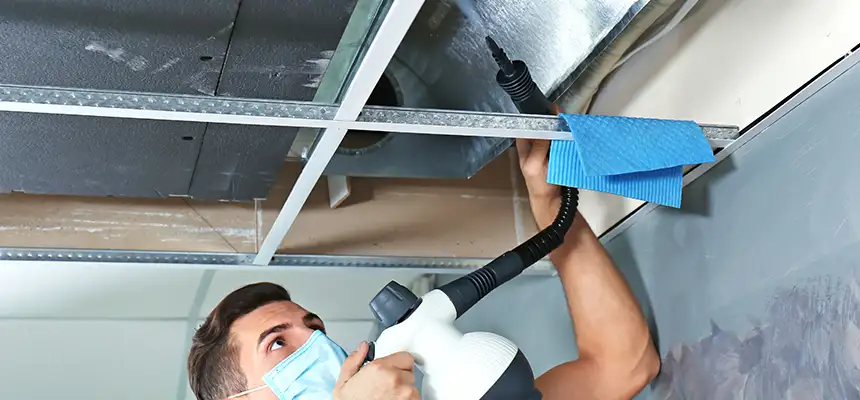 Our Air Duct Rodent Removal Services in Chanhassen, MN