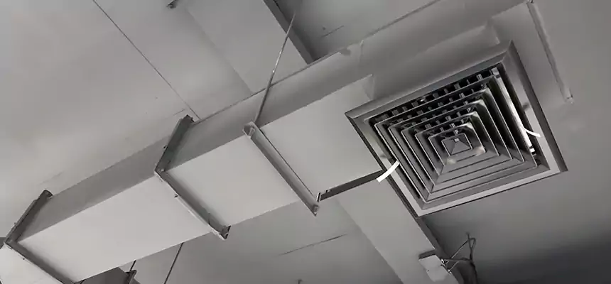 Our Rodent Droppings In Vents Services in Chanhassen, MN