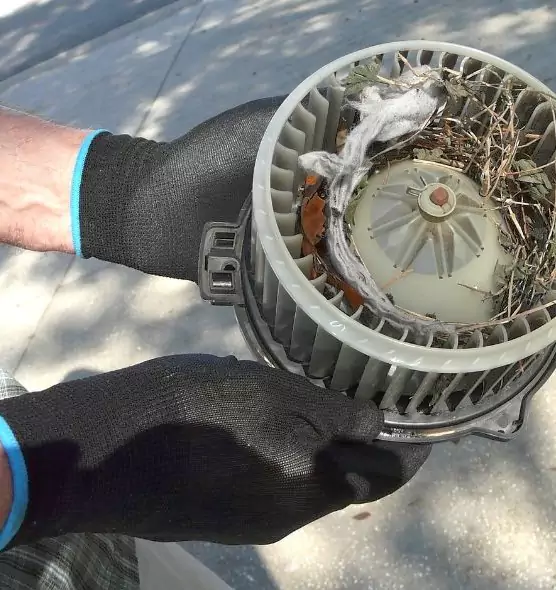 About Air Duct Rat Removal in Chanhassen, MN