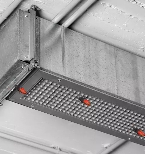 Affordable Insect Removal from Air Ducts in Chanhassen, MN