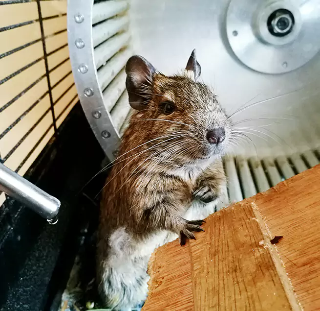 Why Homeowners & Businesses Trust Us Chanhassen, MN