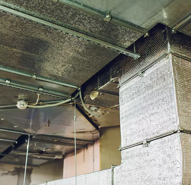 Why Homeowners & Businesses Trust Us in Chanhassen, MN?